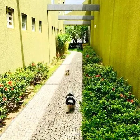 Apartamento Com Piscina No Hooftop, 48m2 - Da Iracema- Fortaleza (Ceara)